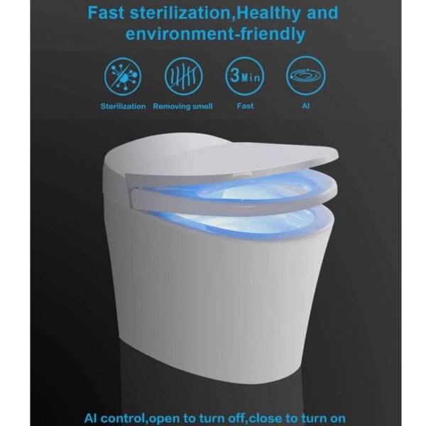 toilet deodorizing sterilization disinfection instrument