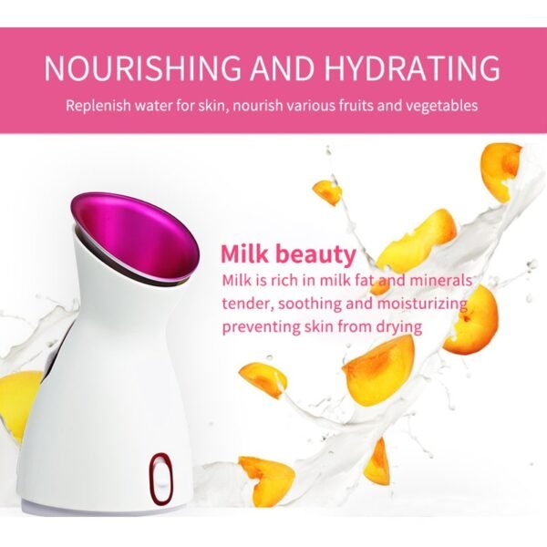 elegant commercial heavy duty wholesale professionals portable buy online logo nano spray facial face steamer